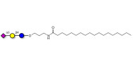 3'-Sialyllactose (3'-SL) / GM3 Ganglioside oligosaccharide with stearic chain (Linker-STEA A)
