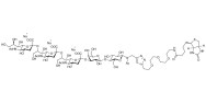 GT3 Ganglioside oligosaccharide linked to biotin (Linker-BT A)