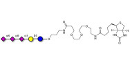 GT3 Ganglioside oligosaccharide linked to biotin (Linker-BT C)