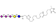 GT3 Ganglioside oligosaccharide linked to desthiobiotin (Linker-DBT-A)