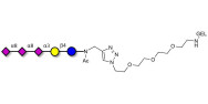 GT3 Ganglioside oligosaccharide grafted on gel for affinity chromatography (Linker-GEL A)