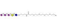 GT3 Ganglioside oligosaccharide with terminal azide (Linker-N3 A)