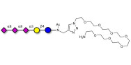 GT3 Ganglioside oligosaccharide with free terminal amine (Linker-NH2 C)