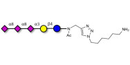 GT3 Ganglioside oligosaccharide with free terminal amine (Linker-NH2 D)
