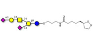 GD1a Ganglioside oligosaccharide with cyclic di-thiol (Linker-LIPO A)