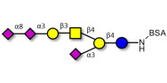 GT1a Ganglioside oligosaccharide grafted on BSA