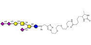 GT1a Ganglioside oligosaccharide linked to desthiobiotin (Linker-DBT-A)