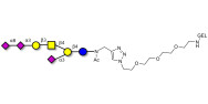 GT1a Ganglioside oligosaccharide grafted on gel for affinity chromatography (Linker-GEL A)