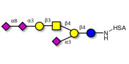 GT1a Ganglioside oligosaccharide grafted on HSA