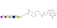 Disialylated pentaose type 1 linked to biotin (Linker-BT C)