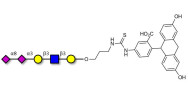 Disialylated pentaose type 1 linked to fluorescein (Linker-FLUO A)