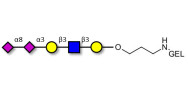 Disialylated pentaose type 1 grafted on gel for affinity chromatography (Linker-GEL B)