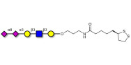 Disialylated pentaose type 1 with cyclic di-thiol (Linker-LIPO A)