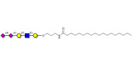 Disialylated pentaose type 1 with stearic chain (Linker-STEA A)