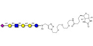 Stage-Specific Embryonic Antigen-4 (SSEA-4) hexaose analogue type 2 linked to biotin (Linker-BT A)