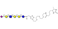 Stage-Specific Embryonic Antigen-4 (SSEA-4) hexaose analogue type 2 linked to desthiobiotin (Linker-DBT-A)