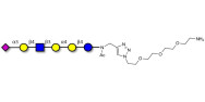 Stage-Specific Embryonic Antigen-4 (SSEA-4) hexaose analogue type 2 with free terminal amine (Linker-NH2 B)