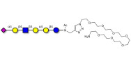 Stage-Specific Embryonic Antigen-4 (SSEA-4) hexaose analogue type 2 with free terminal amine (Linker-NH2 C)