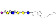 Stage-Specific Embryonic Antigen-4 (SSEA-4) hexaose analogue type 2 with free terminal amine (Linker-NH2 D)