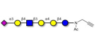 Stage-Specific Embryonic Antigen-4 (SSEA-4) hexaose analogue type 2 with terminal alkyne (Linker-CΞCH A)