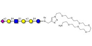 Sialylated isoglobopentaose (Sialylated iGb5) analogue type 2 with free terminal amine (Linker-NH2 C)