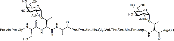 PAPGST(Î±-O-GalNAc)APPAHGVTSAPDT(Î±-O-GalNAc)R-OH