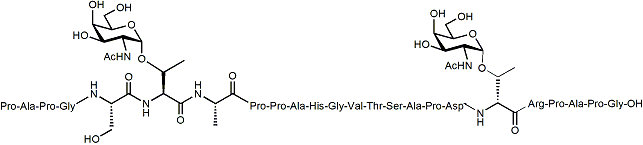PAPGST(Î±-O-GalNAc)APPAHGVTSAPDT(Î±-O-GalNAc)RPAPG-OH